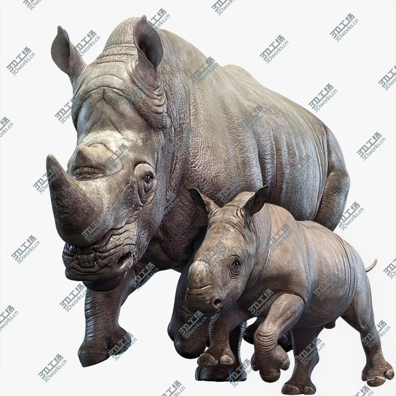 images/goods_img/20210313/Rhino Family (Animated) 3D/1.jpg